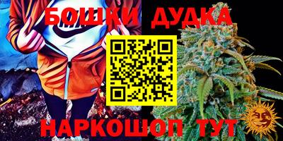 кокаин Кингисепп