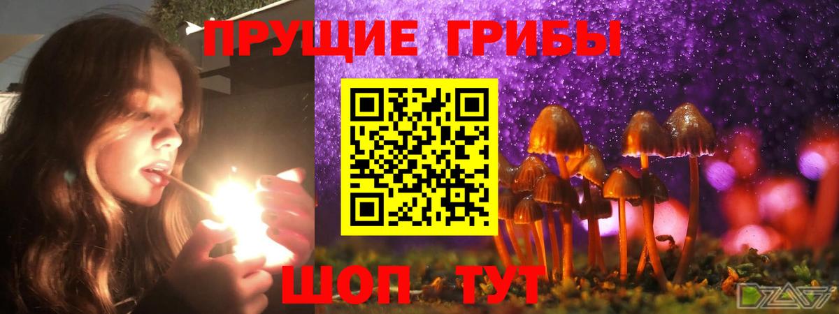 дарнет шоп  Галлюциногенные грибы Magic Shrooms  Вход с VPN  Юрга 